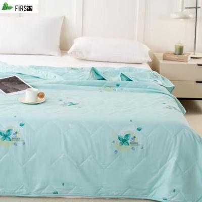 Shanshan Mint Cool Breathable Summer Quilt