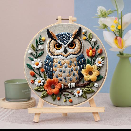 1 Set Owl Embroidery Kit with Hoop Threads Needles Beginners Pre-Stamped Bird Cross Stitch