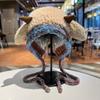Cute lamb warm hat women's autumn and winter cold-proof plush knitted ear hat outdoor pullover hat