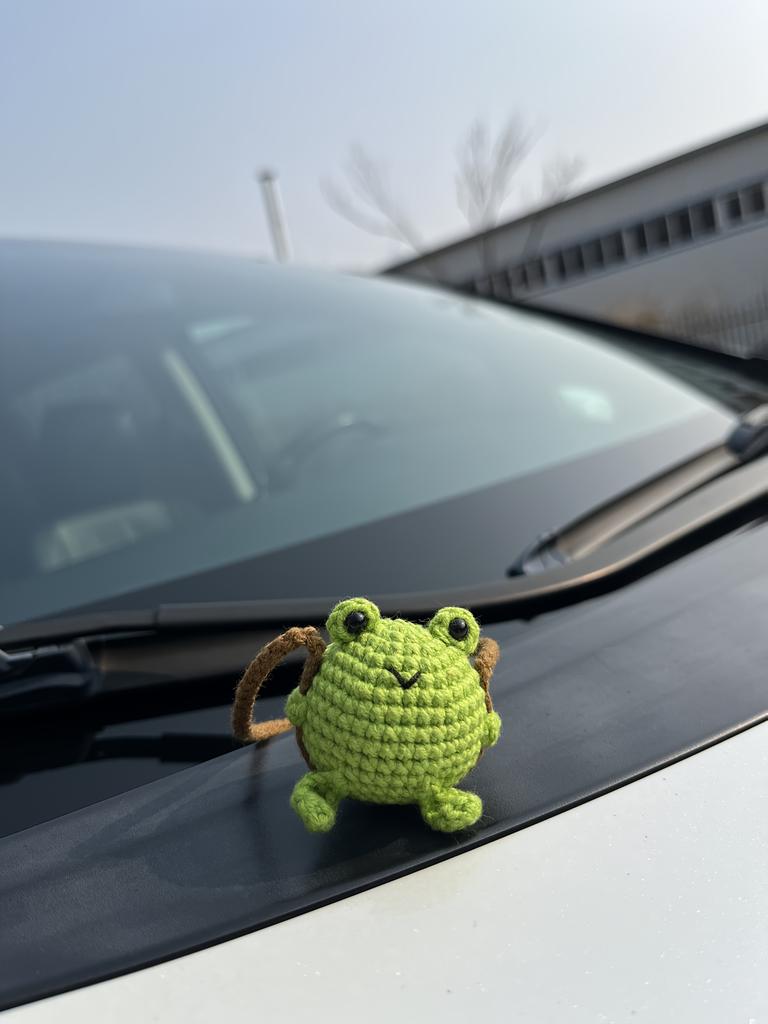Handmade Crochet Frog Car Air Freshener with Cedar ScentGreen Fabric Frog Hanging Ornament for Rearview Mirror or Closet,Perfect for Easter