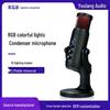 USB Microphone for Mobile Recording, Live Streaming, Gaming, Karaoke, and Conferences - Sound Card & Condenser with Monitoring Feature