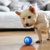Gravity Jumping Ball Smart Interactive Ball Charging Interactive Exercise Rolling Ball Toy Indoor Outdoor Training Balls for Dog