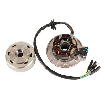 12V AC Ignition Magneto Stator Flywheel Kit for YX Ying Xiang 140cc 150cc 160cc Motorcycle Pit Dirt Bike ATV GO Kart Coil