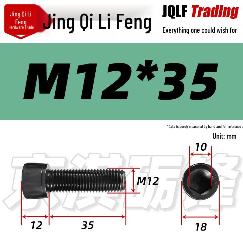 M6-M24 High-Strength Black Hex Socket Reverse Thread Cap Screw