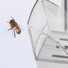 Insektenfänger Handheld Insektenfänger Spinnenfänger Bienen Insektenklemme Artefakt Insektenfangwerkzeug