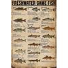 Cusde Freshwater Game Fish Tin Sign Vintage Retro Decor Signs Wall Decorations Wall Art Poster Plaques for Home Farm Store Garage Club Bar Kitchen
