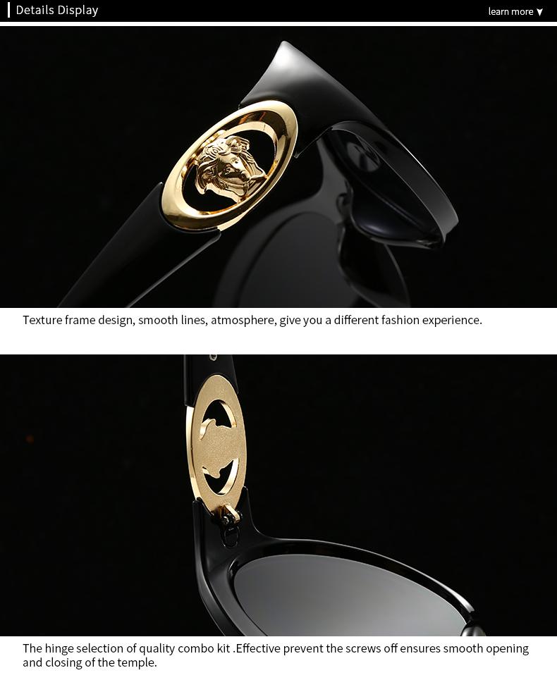 Foreign Trade Cross-Border Modern Sunglasses European and American Street Photography Ins Popular Model Cat-Eye Sunglasses for Women Lh272