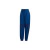 Stella McCartney FW22 Effen Streep Trainingsbroek Dames Broeken Blauw HI6101