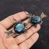 Labradorite Copper Earring Copper Wire Wrapped Jewelry Fish Gemstone Earring Handmade Antique Jewelry Wire Wrapped Earrings Gifts For Friend