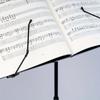 Music Stand 2 in 1 Dual Use Folding Sheet Music Stand Desktop Book Stand Portable and Lightweight