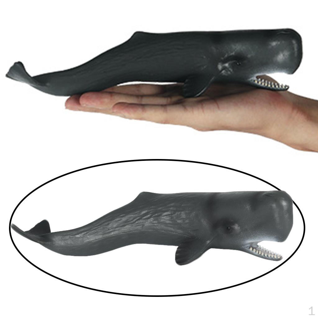 Action Figures Hand-Painted Creature Shark Sea Life Marine Toys Decorative Gifts for Kids