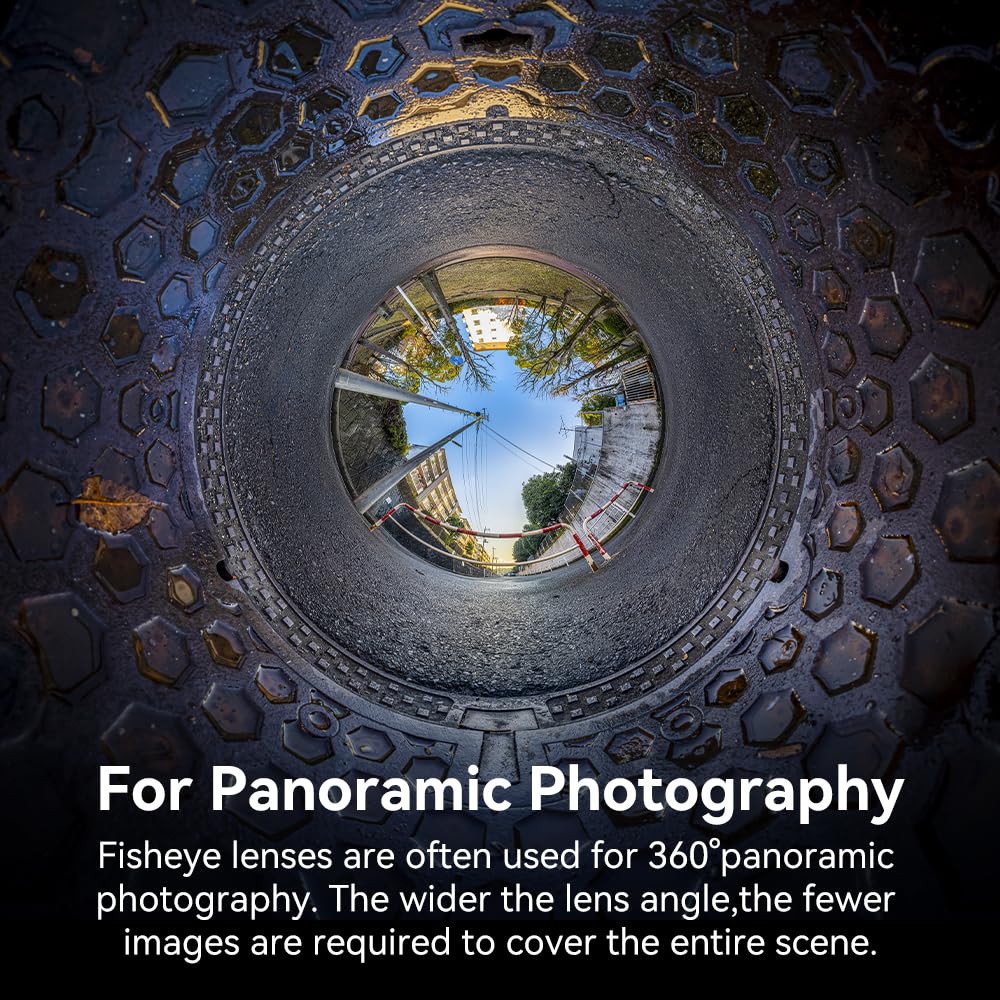 TTArtisan MF F2 Fisheye Prime Lens warranty Compatible with Sony diagonal manual compact and suitable for and silver Master Craftsman 7.5mm E-mount