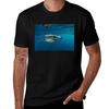 Mako Shark Zippin Around Cabo Tshirt Holiday Party For Men Tshirt