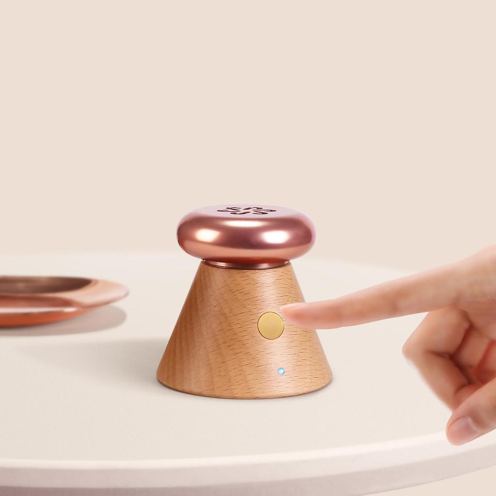 Solid Wood Temperature-Controlled Aromatherapy Diffuser