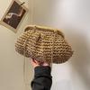 Summer Beach Fashion Hollow Out Women Clip Woven Shoulder Bag Straw Weave Chain Casual Crossbody Bags