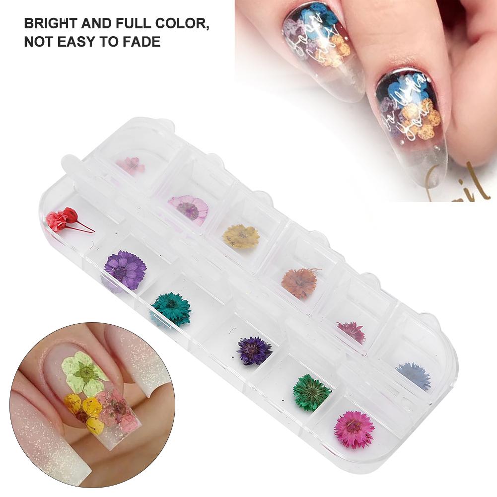 12 Colors / Box Dried Flower Nail Decoration DIY Nail Art Decoration AccessoriesD Style
