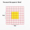 Transparent 1cm Grid Paper - 100 Squares for Math Teaching