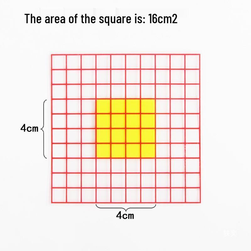 Transparent 1cm Grid Paper - 100 Squares for Math Teaching