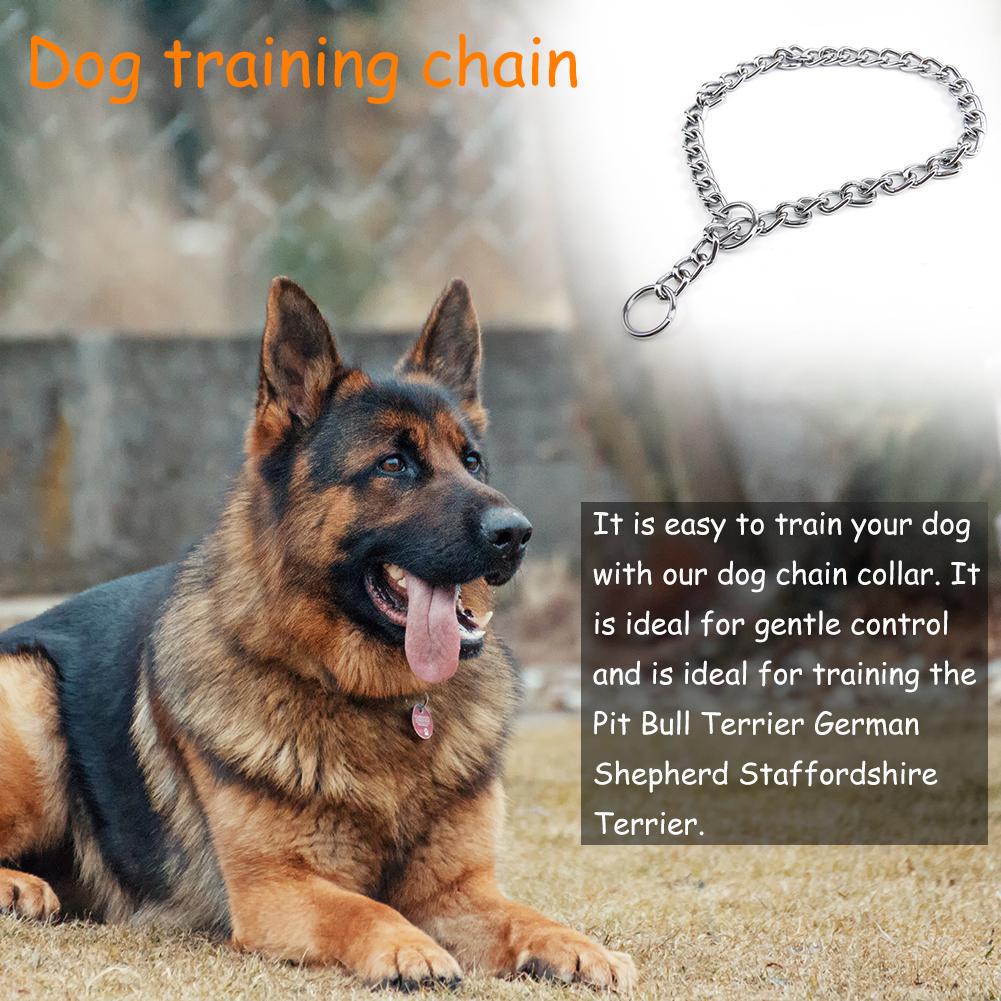 german shepherd chain collar