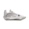 Li Ning Wade All City 13ENCORE Low Top Basketball Shoes Men's White Gray ABAV043-3