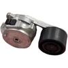 LKW Zahnriemen Spannrolle Oem 21587366 21819687 7421819687 Motor System Spannrolle