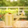 Watering Can Watering Bottle 1.5L Portable Garden Tool Long Nozzle Kettle Watering Pot for Patio Outdoor Lawn Yard erpots