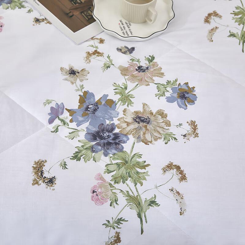 Aosmeng All-Cotton Printed Quilt