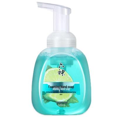 Liushen Antibacterial Foaming Hand Soap (Mugwort & Lime) 2-Pack