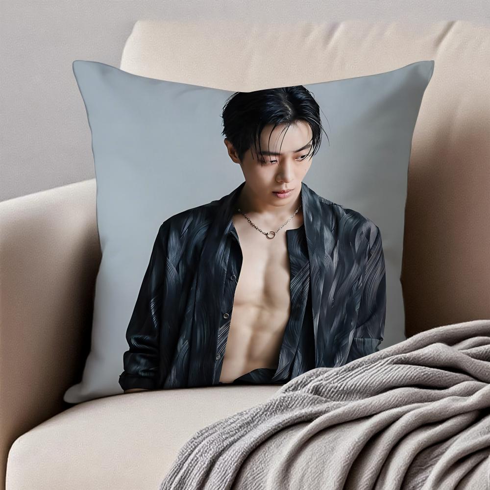 POP Korea CChoo YoungWoo Cushion Cover Pillowcase Antidustmite Invisible Zipper Short Plush Sofa Cushion