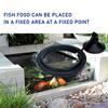 Aquarium Fish Feeding Ring Equipped Suction Cups Portable Circular Square Aquatic Animal Feeder Fish Tank Aquarium Feeding Tools
