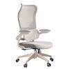 Ergonomic Lumbar Support Office Chair