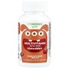 VitaWorks, Children's Multivitamin with Iron, Mixed Fruit, 120 Chewable Tablets