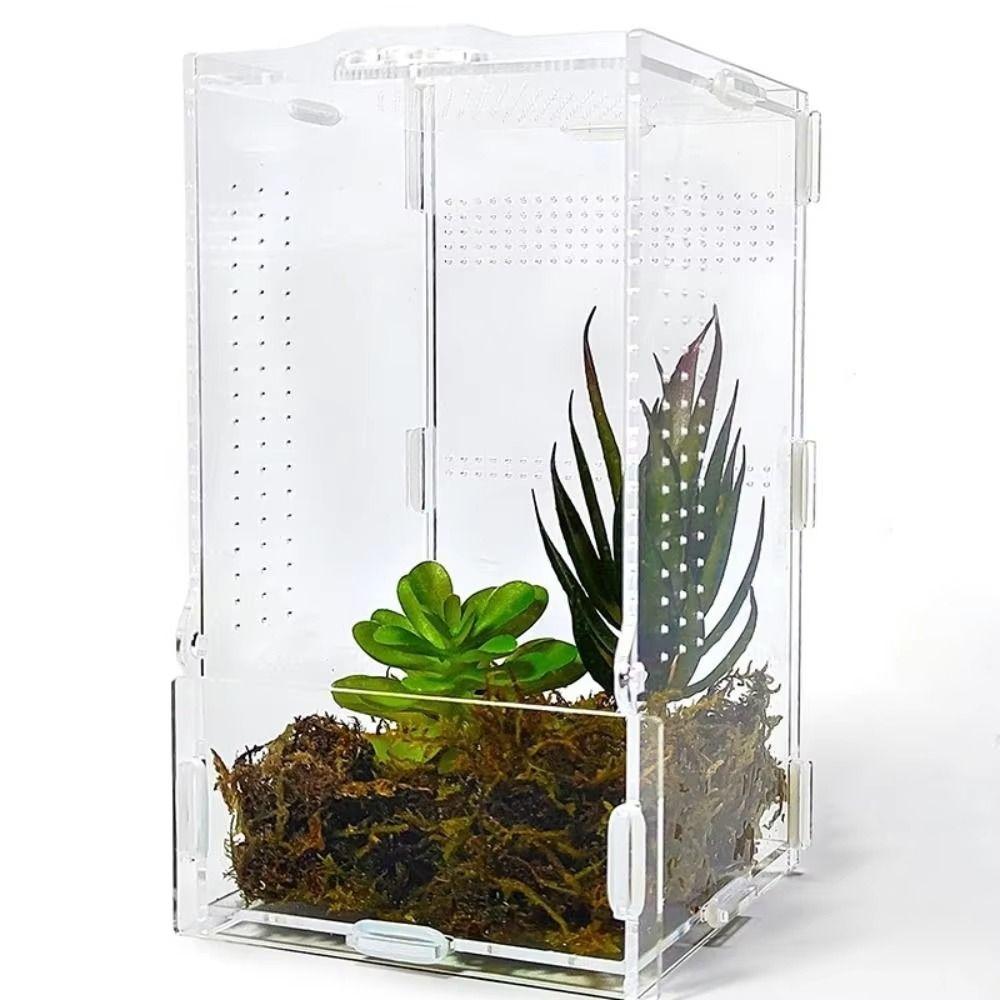 Anti-escape Acrylic Crawler Box Ventilated Jumping Spider Terrarium  Landscape Habitat