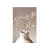 Taj Mahal plakatutskrift Beige lerretskunst Veggmaleri Dahlia Vase Palmeblad Veggmaleri Stue Nordic Living Room Home Decoration