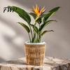 Balcony Desktop Plant Organizer Boho Wicker Planter, Handwoven Flower Pot with Waterproof Lining, Basket Planter Rustic Storage for Indoor Plants