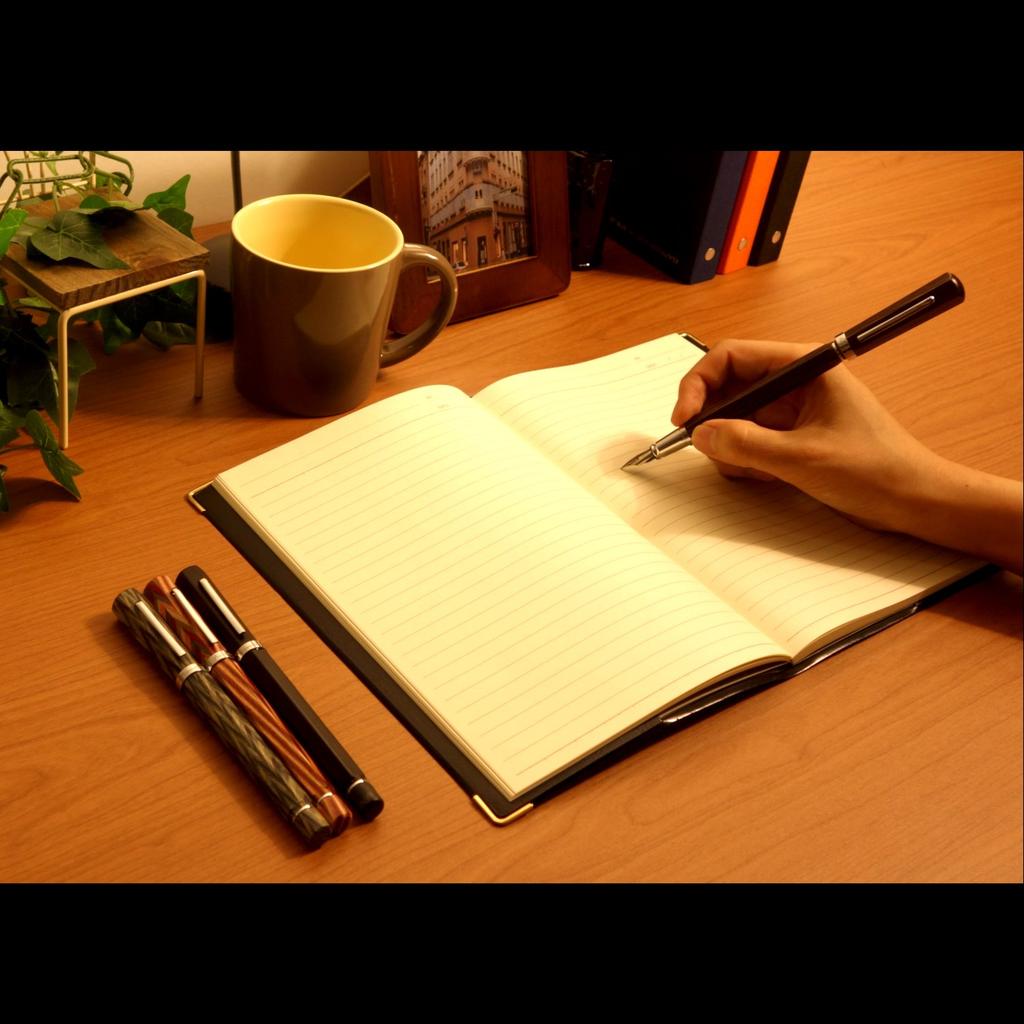 Exim Fountain Pen Fiorentina Maestro F660-25