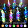 Solar Hyacinth Flower Lamp Lawn Courtyard Outdoor Landscape Atmosphere LED Night Light