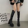 Mode 2025 Neue Klobige Hohe Absätze Einfarbig Kniehohe Stiefel für Damen Plateau V-Ausschnitt Gothic Herbst Lange Stiefel Party Kleiderschuhe