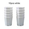 Small Plastic Octagonal Flowerpot, Monochromatic, Seedling Pot, Desktop Succulent Decoration Combination, Breathable, TMZ, 10Pcs