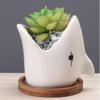 Cartoon Animals Flowerpot Succulents Ceramic Flower Pot Creative Garden Home Decoration Desktop Green PlantersSmall Bonsai Pots