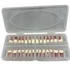 28Pcs/Set Dental Endodontic Teeth Model Full Mouth Root Canal Practice Study Model Endo Teeth Block Training
