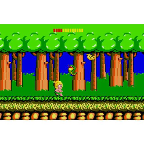 SW Version Wonder Boy Ultimate Collection Regular Version