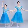 Long Romantic Ballet Tutu Blue Ballet Dress Performance Clothes Swan Lake Ballerine Women Fairy Costume