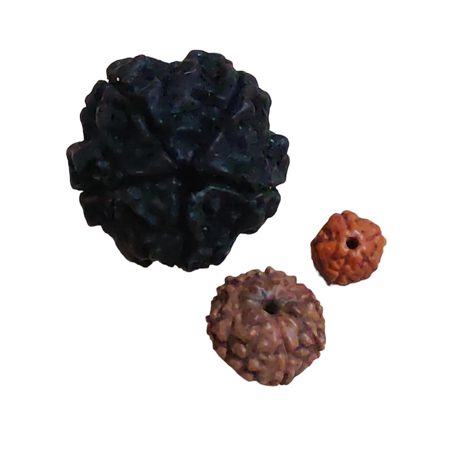 

@ Indian Traditional Rudraksha 3 Beads Large Medium And Small For Unisex SM143-60% OFF