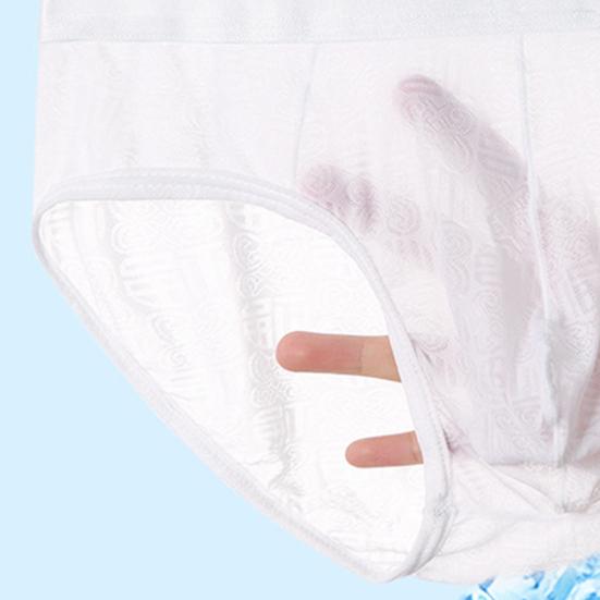 Men Briefs Jacquard Stretchy Male Ice Silk See Through Panties for Home