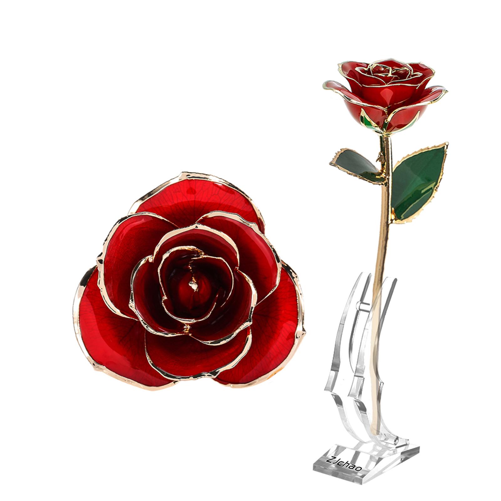 

Long Stem Dipped 24k Gold Rose in Gift Box with Clear Display Stand Red Roses for Her Long Stem Rose Gifts