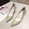 High Heeled Shoes for Women 2024 New Spring and Summer Versatile Pointed Temperament Work Shoes