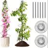 Spiral Frame Trellis for Climbing Plants Outdoor Indoor Metal Garden Plant Support  for Pole Beans, Tomato, Sweet Pea, Clematis, Potted Plants, Vine