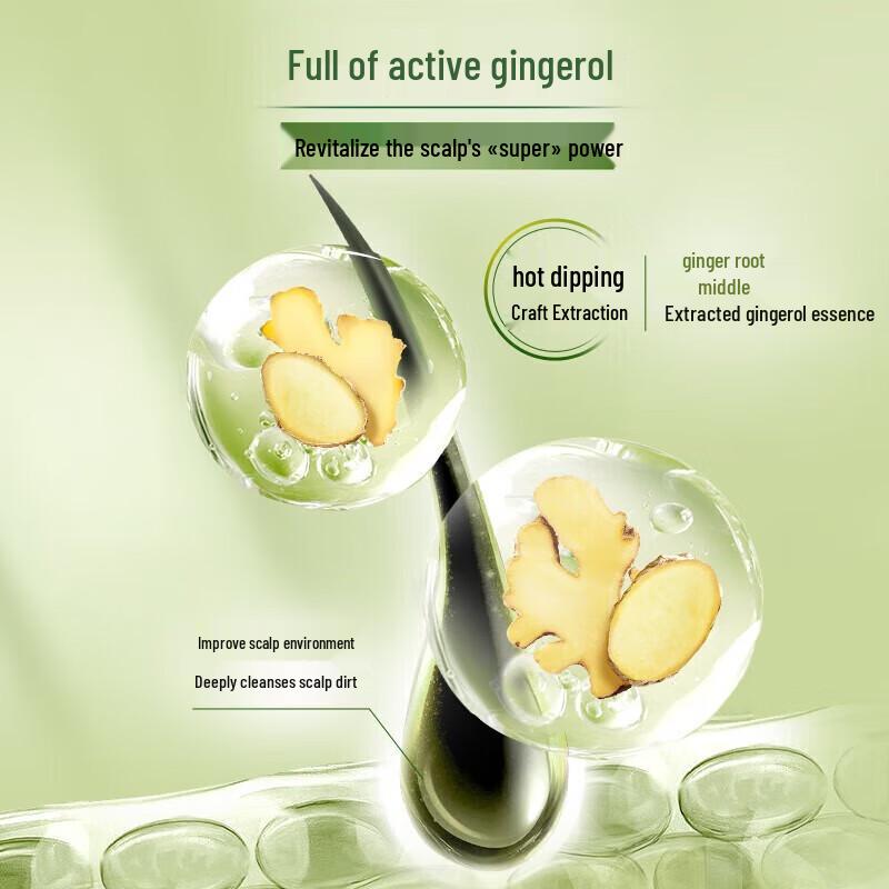 Schwarzkopf Ginger Essence Oil Control Shampoo & Conditioner Set