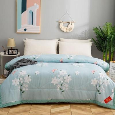 Qilu Anti-bacterial Quilt
